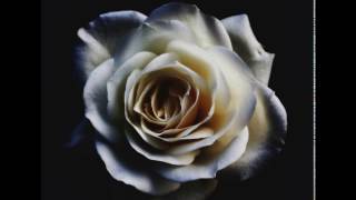 Khaleesi - Giancarlo Campomanes (Single)