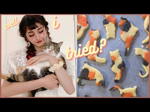 Attempting To Make Calico Kitty Cookies (Key Word: Attempting)