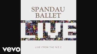 Spandau Ballet - Snakes and Lovers (Live from NEC, Birmingham) [Audio]