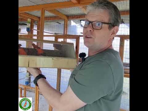 March in Davidsbirdroom