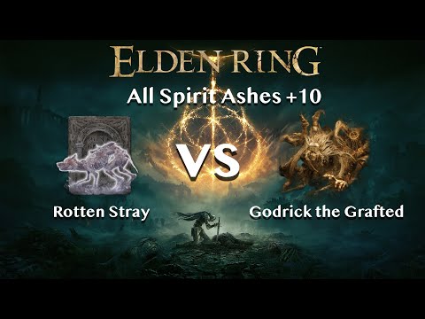 【Elden Ring】Rotten Stray vs Godrick the Grafted【All Spirit Ashes+10】