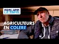 Crise agricole : trop de restrictions ! - Groland - CANAL+