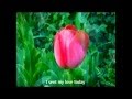 'Tulips And Heather'