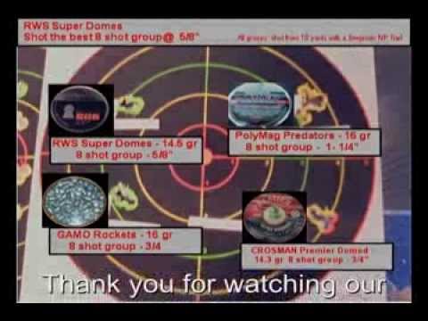 Find the Right Pellet for my Air Gun