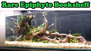 I Made a Bookshelf Aquarium for RARE PLANTS! (Major issues though).