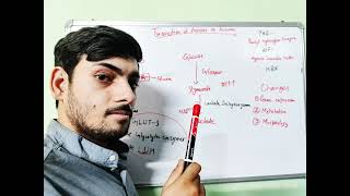 Transition of aerobic to anaerobic bacteria /microbiology point of view