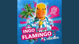 Ingo ohne Flamingo Hitmix: Saufen morgens, mittags, abends / Hartz 4 und der Tag gehört dir /...