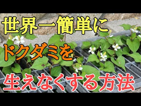 不要な植物を取り除く多目的除草剤
