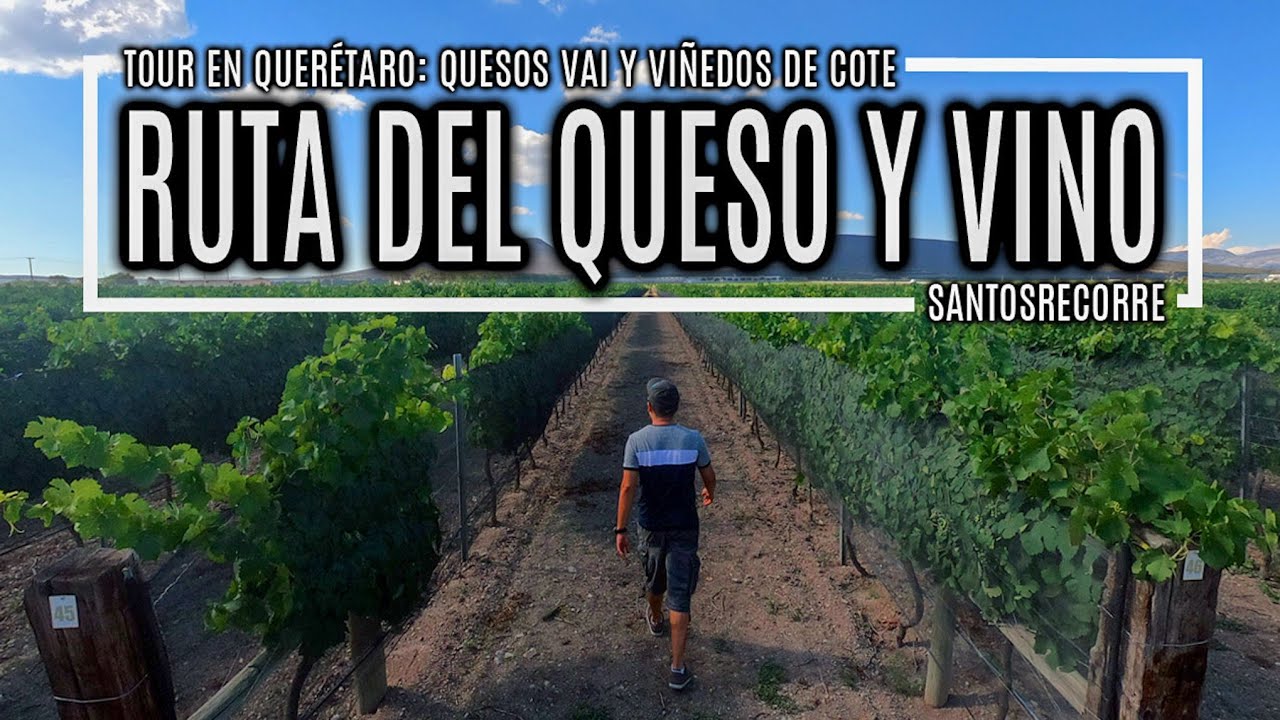 RUTA DEL ARTE, QUESO Y VINO - ¿Qué visitar ¿Cuánto cuesta ¿Donde la empiezo GUÍA COMPLETA