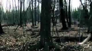 LIMP Official Music Video SUMO Cyco   YouTube