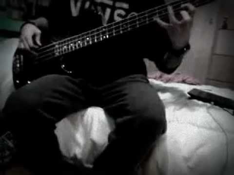 Hysteria - Muse - bass cover by Alex