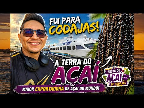 Viajei pra CODAJÁS e descobri o VERDADEIRO AÇAÍ!