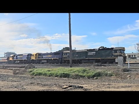 7934V/7738V PN up loaded grainy (G523 X50 XR559), Birchip to Geelong, 1245, 4/8/25, Maroona VIC 