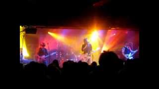 Dogs D&#39;Amour: Errol Flynn