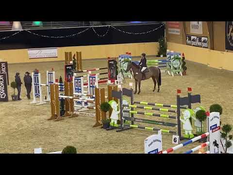 Bezaubernde Gynnie *2014 (Baloubet de Rouet x Diamant de Semilly)