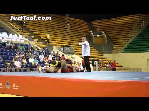 7th Sanda World Cup (2014) - Men's 80kg Round-Robin 1