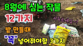 8월에 심는 작물 12가지 밭 만들때 꼭 넣어줘야할 3가지 칼슘비료 붕사비료 토양살충제 가을텃밭 만드는 방법