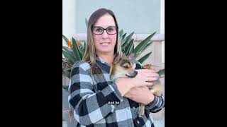 Video preview image #1 Mutt Puppy For Sale in Corona, CA, USA