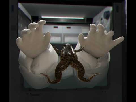 video frame placeholder