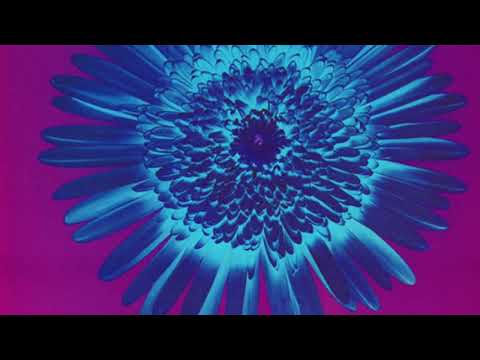 Swedish House Mafia vs Opus III - It's A Ray Of Fine Day (Jay's MashUp)