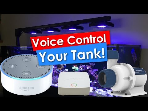 Voice controlled Reef Tank using Amazon Alexa Echo Dot, Ecotech Reeflink and a Vectra M1