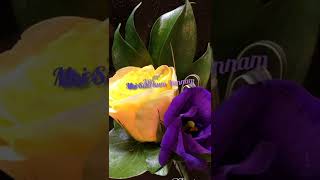 Download lagu Ennulle song✨@ShamniSD #shorts Valli movie #shorts video #status videos #trending 🎶 💛#lovestatus 💞 mp3 Download lagu Ennulle song✨@ShamniSD #shorts Valli movie #shorts video #status videos #trending 🎶 💛#lovestatus 💞 mp3