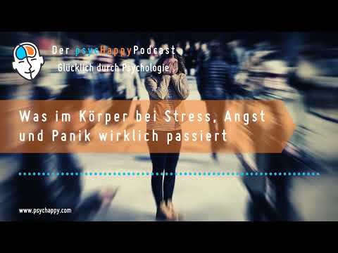 Was im Körper bei Stress, Angst und Panik wirklich passiert