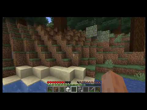 nowy serwer  nowa przygoda Tigera