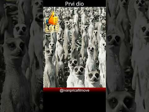 Proveo Je 223 Dana Na MORU s Tigrom [1/2] #film #movie #shorts