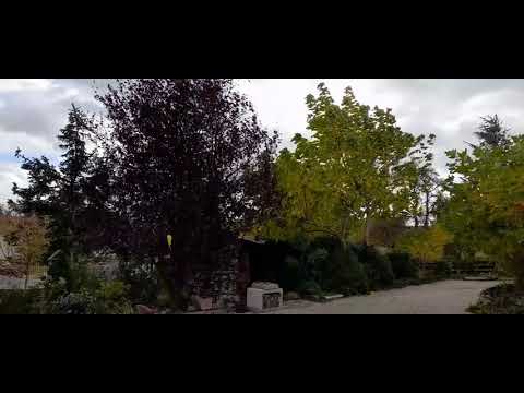 Sturmtief IGNATZ (21. Oktober 2021)