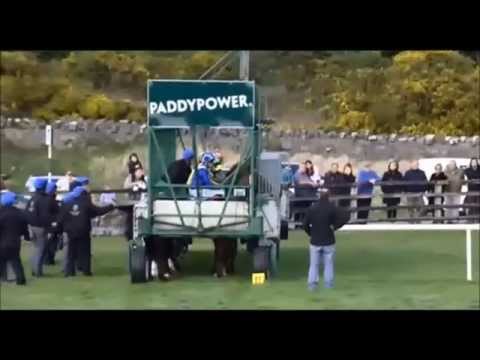 Flight Risk (IRE) - Big Bad Bob Gladness Stakes (Group 3)