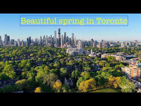 Beautiful Spring Day in Toronto - DJI Mini 4 Pro 4K drone flight