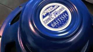 Bugera V22 Speaker comparisons, Weber Alnico Blue Dog, Celestion Vintage 30, Eminence Tonespotter