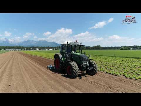 SPAR KOT NEKOČ - Kmetija Kadivec