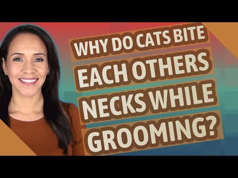Why do cats bite each others necks while grooming?