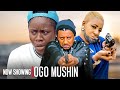 OGO MUSHIN (LADUGBO MI) | Olayinka Solomon | Latest Yoruba Movies 2024 New Release