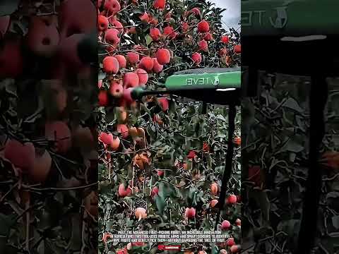 Automatic Fruit Picker Tool: Smart Robot Harvests with Precision!