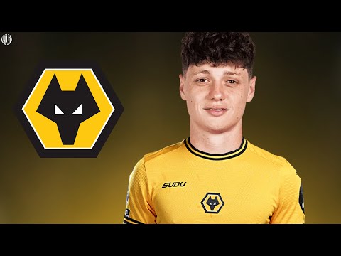Ladislav Krejci - Welcome to Wolves 2025 - Skills, Tackles & Goals | HD