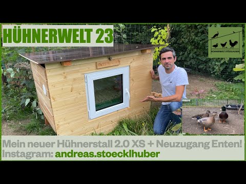 Hühnerwelt 23 Mein neuer Hühnerstall 2.0 XS + Meine Enten Neuzugänge (inkl. erster Teich) 8/2021