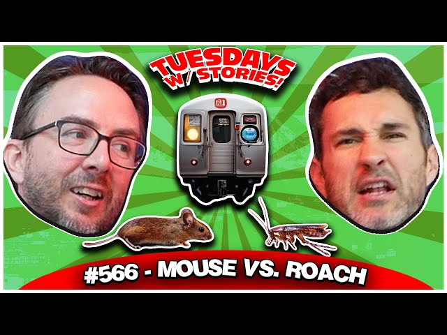 Mouse vs. Roach
