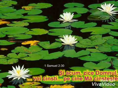 Speranta si Puiu Chibici