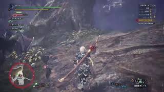 MHW ｱｲｽﾎﾞｰﾝ 馬鹿みたいにつっこむ嫁とサポートせざるを得ない旦那。