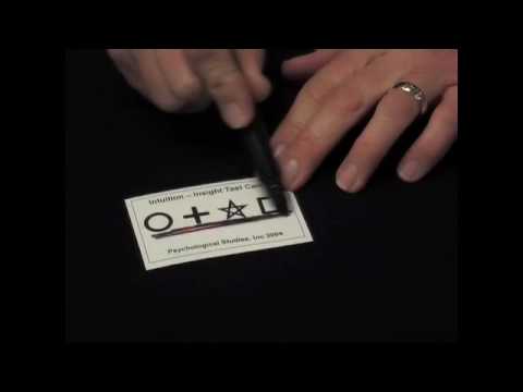 Colaura by Sean Taylor