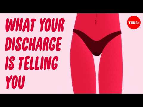 What is vaginal discharge, and what does it say about your health? - Elizabeth Micks