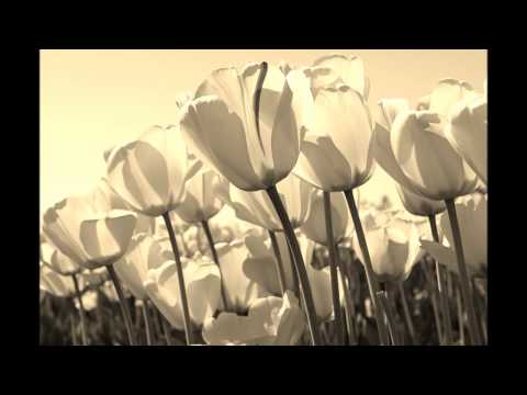 DANUTA STANKIEWICZ - DZIEŃ PO DNIU.