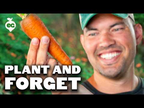 9 Low-Maintenance Fall Veggies to Grow and Forget This Winter