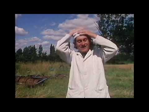 Vision on including continuity