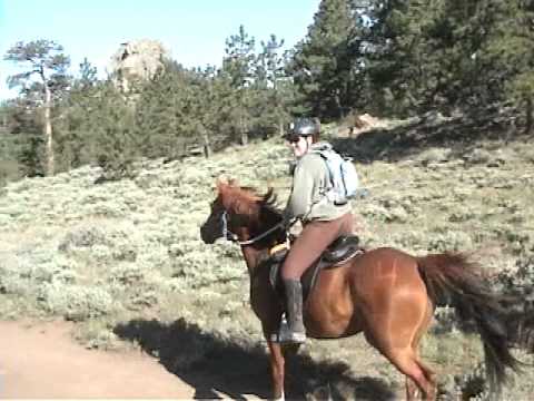 Synergist Saddles