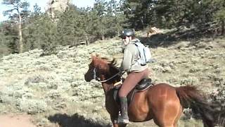 Synergist Saddles Part 1-Welcome, History, Saddles
