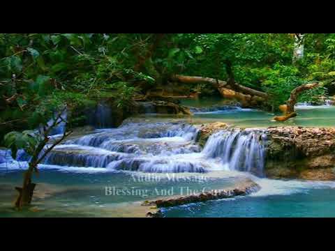 Blessing And The Curse (20190714 AM)